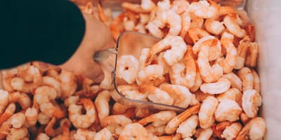 TOMRA Food shrimps
