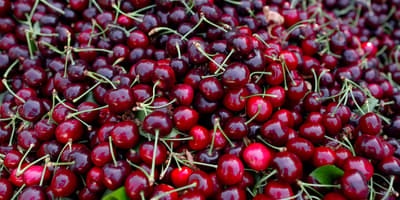 Cherries with stems