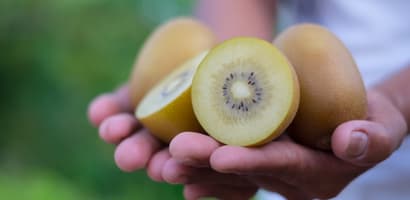 Hands_holding_kiwifruit (1)