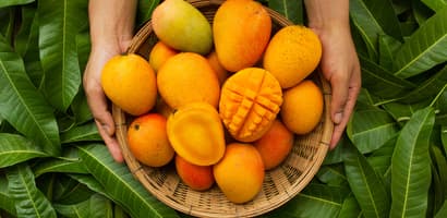 Fruta: seleccione su producto: mangos