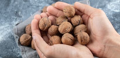 TOMRA walnut sorting