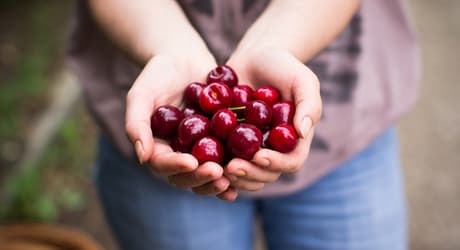 Fruit-select your product-Cherries