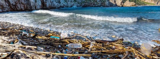 Plastic waste on beach