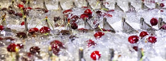 TFF-Cascade-cherry-bright