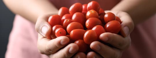 Fruit-select your product-Tomatoes