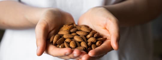 Nuts-Almonds-CT-01-badencioglu