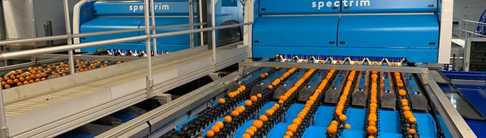 TOMRA citrus sorting