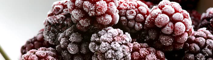 TOMRA berry sorting