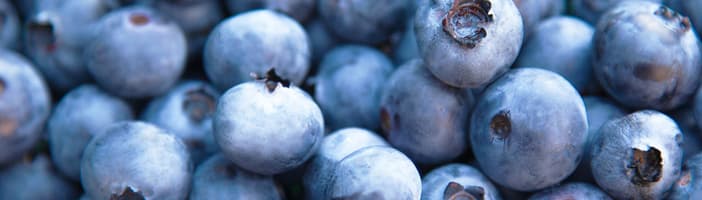 Clasificación de frutos rojos de TOMRA