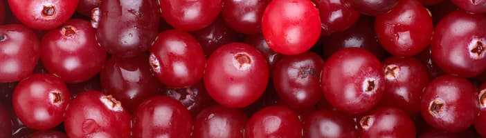 Cranberries sorting