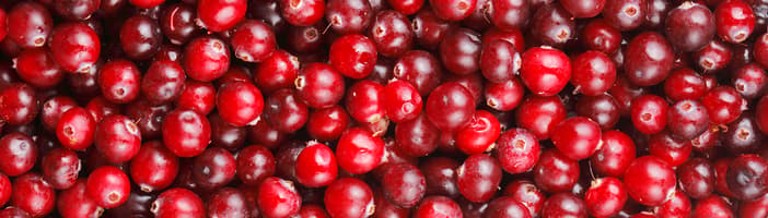 Cranberries 3