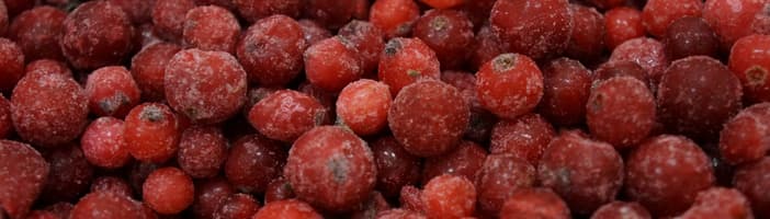 Redberries 2