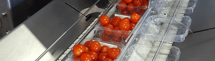 Clasificadora de tomates de TOMRA