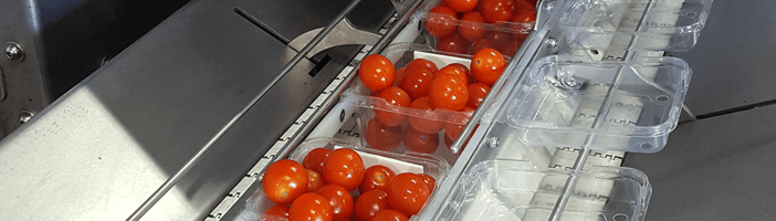 TOMRA tomato sorting