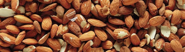 Nuts-Almonds-KB-02 (2)