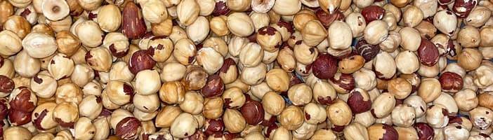 Sorting out defects in hazelnuts