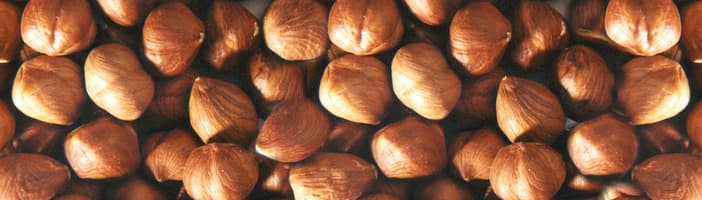 Nuts-Hazelnuts-KB-4