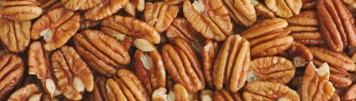 Nuts-Pecans-KB-1