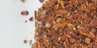 clasificación de defectos de nueces pecanas