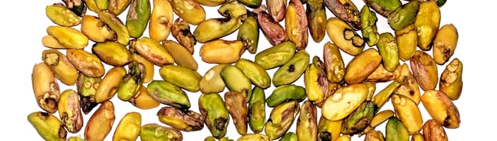 Daños por insectos en pistachos