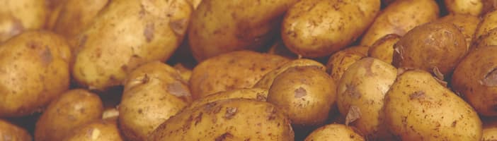 Field-Potatoes-Video