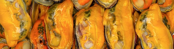 TOMRA Food mussels