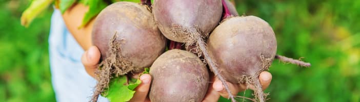 Beets-Key_Benefits-1