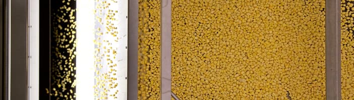 Corn-Key_Benefits-4