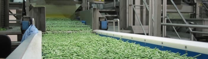 Green_Beans-Key-Benefit-04