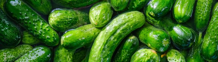 Pickles-Key_Benefits-4