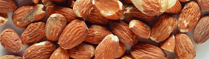Almonds defects sorting