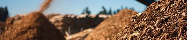 wood recycling tomra