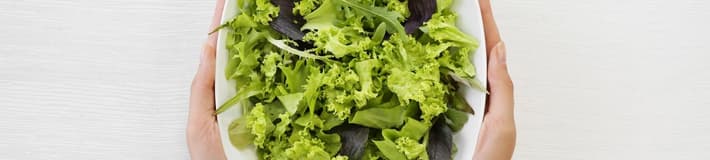 Leafy_Greens-Mixed lettuce-A
