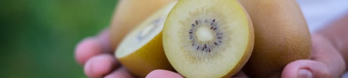 Hands_holding_kiwifruit (1)