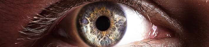 closeup of a person
