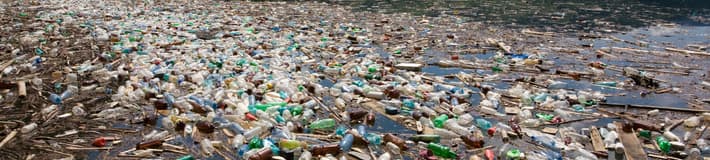 Image of shoreline filled with plastic bottles