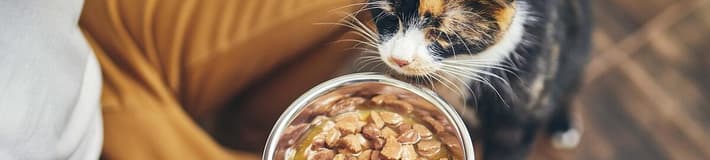 Proteins_TOMRA Food_petfood (1)