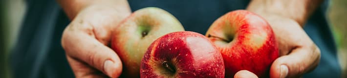 TOMRA apples sorting