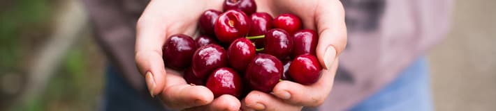 Fruit-select your product-Cherries