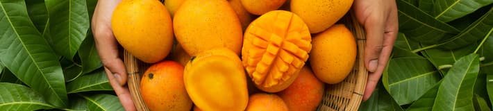 Fruta: seleccione su producto: mangos
