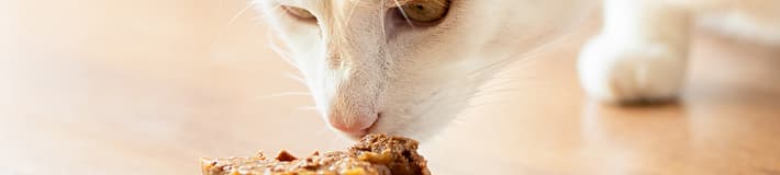 Clasificación de alimentos para mascotas de TOMRA Food