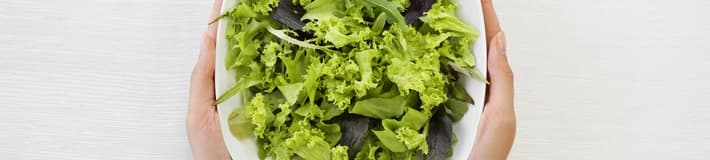 Leafy_Greens-Mixed lettuce-A