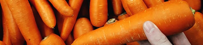 Clasificación de zanahorias de TOMRA Food