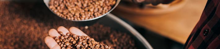 clasificación de granos de café
