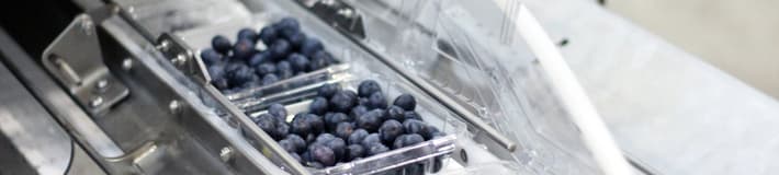 blueberries lid closer