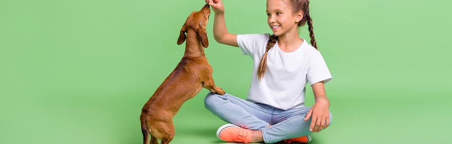 TOMRA Food pet food