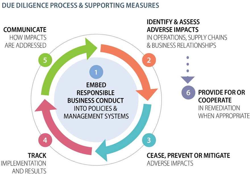 Due diligence process