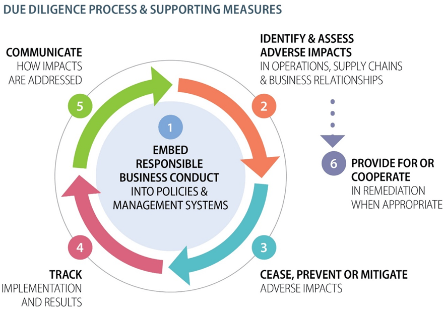 Processus de diligence raisonnable