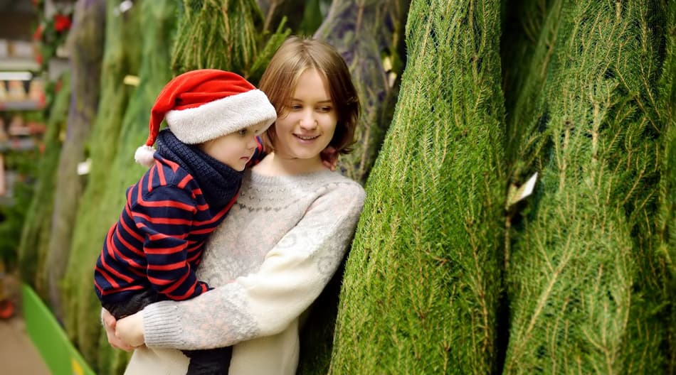 Mother and son looking for green Christmas tree