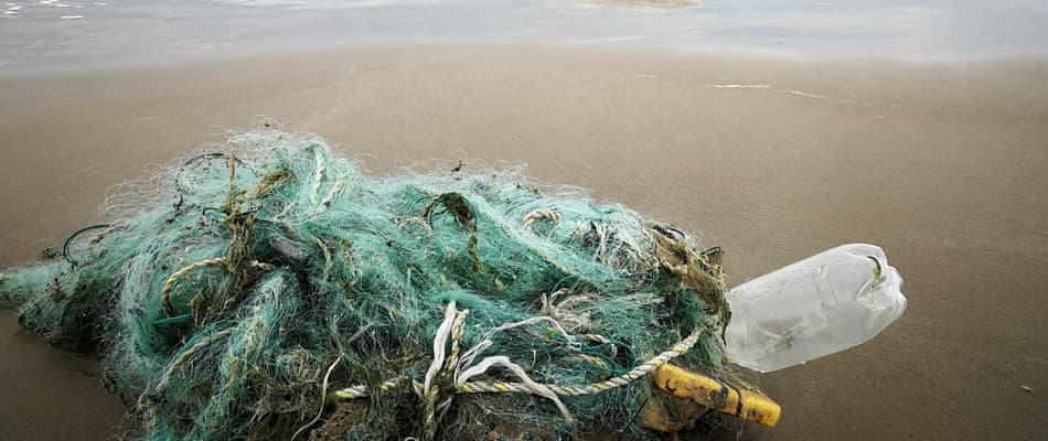 plastic netting washed ashore